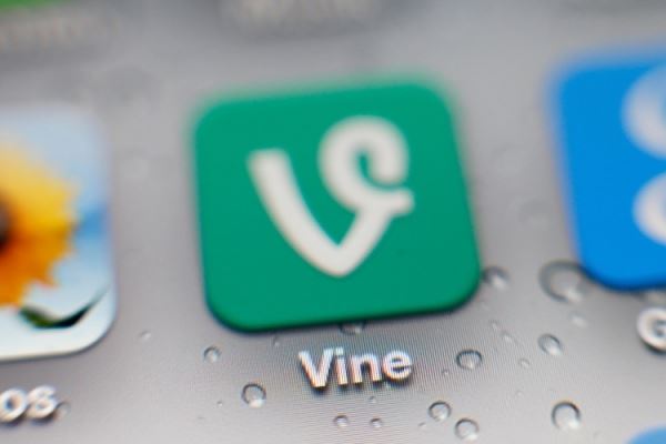 Илон Маск задумал вернуть Vine — легендарный сервис коротких видео 